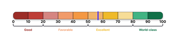 A image like a rule showing de nps levels, marking the project score with a purple line.